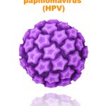 Human papillomavirus (HPV).